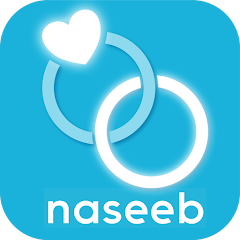 Naseeb logo